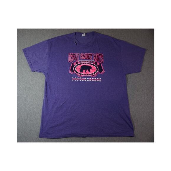 Great Smokey Mountain T-Shirt Gatlinburg, TN Pigeon Forge Sz 2XL Heathered Purpl - Picture 1 of 8